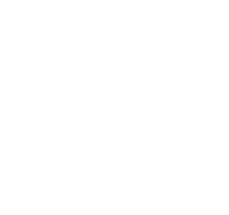 Pioneer Group